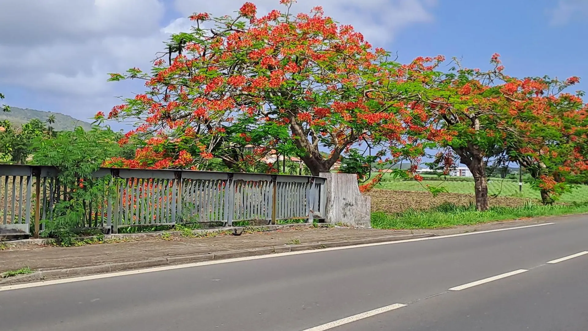 Ti Case Mellauman : Anse Plage Les Trois-Ilets